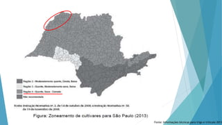 Fonte: Informações técnicas para trigo e triticale 2013
 