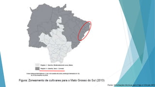 Fonte: Informações técnicas para trigo e triticale 2013
 