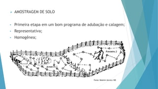  AMOSTRAGEM DE SOLO
• Primeira etapa em um bom programa de adubação e calagem;
• Representativa;
• Homogênea;
Fonte: Boletim técnico 100
 