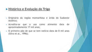  Histórico e Evolução do Trigo
 Originário da região montanhosa e árida do Sudoeste
Asiático;
 Acredita-se que o uso como alimento data de
aproximadamente 17 mil anos;
 O primeiro pão de que se tem notícia data de 8 mil anos
(Silva et al., 1996);
 