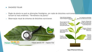  DIAGNOSE FOLIAR
 Órgão da planta na qual as alterações fisiológicas, em razão de distúrbios nutricionais,
tornam-se mais evidentes: “Termômetro da planta”
 Observação visual de sintomas de distúrbios nutricionais
 