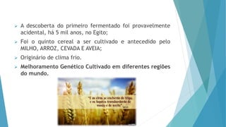 A descoberta do primeiro fermentado foi provavelmente
acidental, há 5 mil anos, no Egito;
 Foi o quinto cereal a ser cultivado e antecedido pelo
MILHO, ARROZ, CEVADA E AVEIA;
 Originário de clima frio.
 Melhoramento Genético Cultivado em diferentes regiões
do mundo.
 