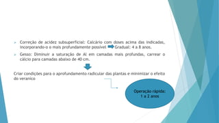  Correção de acidez subsuperficial: Calcário com doses acima das indicadas,
incorporando-o o mais profundamente possível Gradual: 4 a 8 anos.
 Gesso: Diminuir a saturação de Al em camadas mais profundas, carrear o
cálcio para camadas abaixo de 40 cm.
Criar condições para o aprofundamento radicular das plantas e minimizar o efeito
do veranico
Operação rápida:
1 a 2 anos
 