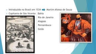  Introduzido no Brasil em 1534 Martim Afonso de Souza
 Capitania de São Vicente Bahia
Rio de Janeiro
Alagoas
Pernambuco
Goiás
 