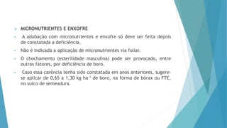  MICRONUTRIENTES E ENXOFRE
• A adubação com micronutrientes e enxofre só deve ser feita depois
de constatada a deficiência.
• Não é indicada a aplicação de micronutrientes via foliar.
• O chochamento (esterilidade masculina) pode ser provocado, entre
outros fatores, por deficiência de boro.
• Caso essa carência tenha sido constatada em anos anteriores, sugere-
se aplicar de 0,65 a 1,30 kg ha-1 de boro, na forma de bórax ou FTE,
no sulco de semeadura.
 