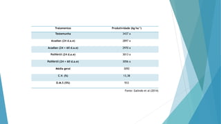 Tratamentos Produtividade (kg ha-1)
Testemunha 3437 a
Acadian (24 d.a.e) 2897 a
Acadian (24 + 60 d.a.e) 2970 a
Polifértil (24 d.a.e) 3013 a
Polifértil (24 + 60 d.a.e) 3056 a
Média geral 3092
C.V. (%) 13,38
D.M.S (5%) 933
Fonte: Galindo et al (2014)
 