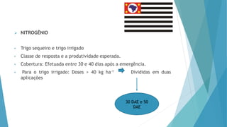  NITROGÊNIO
• Trigo sequeiro e trigo irrigado
• Classe de resposta e a produtividade esperada.
• Cobertura: Efetuada entre 30 e 40 dias após a emergência.
• Para o trigo irrigado: Doses > 40 kg ha-1 Divididas em duas
aplicações
30 DAE e 50
DAE
 