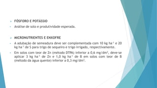  FÓSFORO E POTÁSSIO
• Análise de solo e produtividade esperada.
 MICRONUTRIENTES E ENXOFRE
• A adubação de semeadura deve ser complementada com 10 kg ha-1 e 20
kg ha-1 de S para trigo de sequeiro e trigo irrigado, respectivamente.
• Em solos com teor de Zn (método DTPA) inferior a 0,6 mg/dm3, deve-se
aplicar 3 kg ha-1 de Zn e 1,0 kg ha-1 de B em solos com teor de B
(método da água quente) inferior a 0,3 mg/dm3.
 