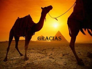 gracias
 