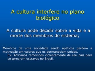 A cultura interfere no plano
               biológico

  A cultura pode decidir sobre a vida e a
   morte dos membros do sistema;

Membros de uma sociedade sendo apáticos perdem a
motivação em valores que os permaneciam unidos.
  Ex: Africanos removidos violentamente de seu pais para
  se tornarem escravos no Brasil.
 