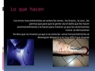 Lo que hacen

 Los emos mas extremistas se cortan las venas , los brazos , la cara , las
              piernas que para que la gente vea el daño que les hacen
    sentimentalmente y lo hacen para mostrar ya que los sentimientos
                                                 nunca se demuestran
Se dice que no mueren ya que si se corta las venas horizontalmente se
                     desangran despacio y es muy dificil que mueran
 