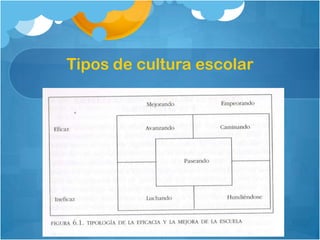 Tipos de cultura escolar
 