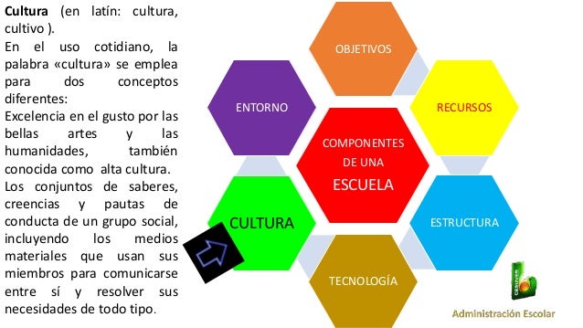 Cultura escolar