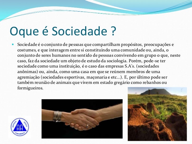 Qual é A Relação Entre Sociedade Cultura E Educação Justifique