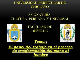 UNIVERSIDAD PARTICULAR DE
CHICLAYO
ASIGNATURA:
CULTURA PERUANA Y UNIVERSAL
FACULTAD DE
DERECHO
Tema :
El papel del trabajo en el proceso
de trasformación del mono al
hombre
 