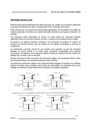 MANUAL PARA EL ENTRENADOR
99
Fútbol 1
SISTEMA MUSCULAR
Está formado aproximadamente por 600 músculos, los cuales se encuentran adheridos
y recubren a la estructura ósea, constituyendo el 40 % del peso del cuerpo.
Todo músculo es un conjunto de fibras largas agrupadas. Se encuentran envueltas de
manera separada, formando una cubierta de tejido conectiva que sujeta al músculo y lo
protege.
Los músculos están dispuestos en pares. En estos pares los músculos trabajan
aplicando fuerza de manera contraria, es decir, cuando uno se tensa el otro se relaja.
El cerebro y el sistema nervioso controlan a los músculos; el cerebro "le ordena" al
músculo el proceso químico que se realiza en las células musculares y provoca la
contracción.
La contracción muscular ocurre de una manera muy especial, ya que los músculos
trabajan en forma similar a un motor pues consumen combustible para producir
movimiento. El diagrama de la siguiente página muestra la similitud entre la manera de
trabajar de un motor y de un músculo.
Existen dos tipos de fibra muscular: de contracción rápida y de contracción lenta. Todos
los músculos tienen una mezcla de estos dos tipos de fibra.
Las fibras de contracción rápida y de contracción lenta trabajan de manera muy distinta.
Ambos funcionan como motores, pero el tipo de combustible y la velocidad con la que
trabajan es diferente. Estas diferencias se ilustran en la página siguiente.
 