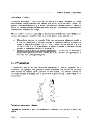 MANUAL PARA EL ENTRENADOR
17Fútbol 2
rodilla y la de la cadera.
Las fuerzas producidas por la contracción de los músculos sobre los huesos del cuerpo
son llamadas fuerzas internas. Las fuerzas que actúan sobre el mismo cuerpo, por
ejemplo, la resistencia del aire y la fricción, son llamadas fuerzas externas. Cuando se
aplican las fuerzas internas directamente contra el suelo, éste reacciona aplicando una
fuerza externa en contra del cuerpo.
Muchos factores mecánicos y fisiológicos determinan cuánta fuerza o velocidad pueden
producir los músculos en determinado movimiento, dos de estos factores son:
⇐ El ángulo de tracción del músculo. Entre más se acerque a la perpendicular el
ángulo de tracción que el músculo hace con el hueso sobre el que se inserta, es
mayor la fuerza de rotación. Por el contrario, entre más se acerque el ángulo
de tracción del músculo a ser paralelo al hueso, es menor la fuerza de rotación
y mayor la fuerza que estabiliza la articulación.
⇐ El tamaño del músculo (la sección transversal). La fuerza de un músculo es
directamente proporcional a su tamaño. En suma, mientras más grande sea el
músculo, más fuerza podrá ejercer.
2.3 ESTABILIDAD
El desempeño exitoso en las habilidades deportivas, a menudo depende de la
estabilidad. Por ejemplo: Los gimnastas deben mantener una posición de equilibrio
tanto parados de cabeza como apoyados en las manos. Esta sección aborda los
conceptos básicos asociados con la estabilidad, el principio de la estabilidad y sus
aplicaciones.
Estabilidad, conceptos básicos:
La gravedad es la fuerza ejercida hacia el centro de la tierra para atraer a la gente y los
objetos.
 