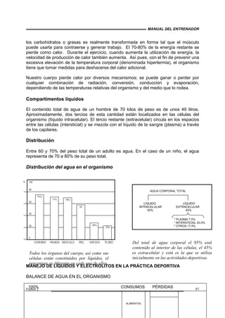 MANUAL DEL ENTRENADOR
Fútbol 2 97
los carbohidratos o grasas es realmente transformada en forma tal que el músculo
puede usarla para contraerse y generar trabajo. El 70-80% de la energía restante se
pierde como calor. Durante el ejercicio, cuando aumenta la utilización de energía, la
velocidad de producción de calor también aumenta. Así pues, con el fin de prevenir una
excesiva elevación de la temperatura corporal (denominada hipertermia), el organismo
tiene que tomar medidas para deshacerse del calor adicional.
Nuestro cuerpo pierde calor por diversos mecanismos; se puede ganar o perder por
cualquier combinación de radiación, conversión, conducción y evaporación,
dependiendo de las temperaturas relativas del organismo y del medio que lo rodea.
Compartimentos líquidos
El contenido total de agua de un hombre de 70 kilos de peso es de unos 49 litros.
Aproximadamente, dos tercios de esta cantidad están localizados en las células del
organismo (líquido intracelular). El tercio restante (extracelular) circula en los espacios
entre las células (intersticial) y se mezcla con el líquido de la sangre (plasma) a través
de los capilares.
Distribución
Entre 60 y 70% del peso total de un adulto es agua. En el caso de un niño, el agua
representa de 70 a 80% de su peso total.
Distribución del agua en el organismo
MANEJO DE LÍQUIDOS Y ELECTROLITOS EN LA PRÁCTICA DEPORTIVA
BALANCE DE AGUA EN EL ORGANISMO
75%
71%
58
28%
23%
CEREBRO HÍGADO MÚSCULO PIEL HUESOS TEJIDO
100
80
60
40
20
0
70%
AGUA CORPORAL TOTAL
LÍQUIDO LÍQUIDO
INTRACELULAR EXTRACELULAR
55% 45%
* PLASMA 7.5%
* INTERSTICIAL 20.0%
* OTROS 17.5%
100% CONSUMOS PÉRDIDAS
ALIMENTOS
Todos los órganos del cuerpo, así como sus
células están constituidos por líquidos, el
porcentaje es diferente en cada uno de ellos
%
Del total de agua corporal el 95% está
contenido al interior de las células, el 45%
es extracelular y está es la que se utiliza
inicialmente en las actividades deportivas.
 