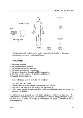 MANUAL DEL ENTRENADOR
Fútbol 2 98
INTRACELULAR
Concentrado donde podemos observar los porcentajes de líquidos en diferentes
comparativos, así como el balance del agua.
FUNCIONES:
a) Disolvente universal.
b) Diversas reacciones químicas.
c) Transmisión del impulso nervioso.
d) Transporte de nutrientes y de oxígeno.
e) Transporte de dióxido de carbono (CO2) y desechos.
f) Contribuye en los procesos de digestión y absorción.
g) Disipador de calor corporal.
Las pérdidas de agua de cada día son variables:
1) En la orina, de 1 a 1.5 litros.
2) A través de la piel, como sudoración insensible, 500 mililitros.
3) Como vapor de agua en el aire expirado de 400 mililitros.
4) En las heces, ya que alrededor del 70% de la materia fecal es agua, se pierden en
promedio 10 mililitros.
Los alimentos y el oxígeno se suministran siempre en soluciones acuosas, y los
productos de desecho siempre se eliminan por medio acuoso. El agua también ayuda a
dar estructura y forma al cuerpo y desempeña un papel fundamental en la
termorregulación.
55%
SANGRE 5%
15% LÍQUIDO
INTERSTICIAL
OTROS
DEYECCIONES
100 ml.
ORINA
1050
1500 ml.
PULMONES
400 ml.
PIEL
500 ml.
TOTAL 2050 2050
2600 2600
EXTRACELULAR
45%
 
