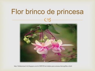Flor brinco de princesa 
 
http://lidiakarinaei1ck.blogspot.com.br/2009/09/atividades-para-semana-farroupilha-e.html 
 