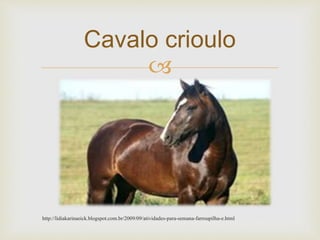 Cavalo crioulo 
 
http://lidiakarinaeick.blogspot.com.br/2009/09/atividades-para-semana-farroupilha-e.html 
 