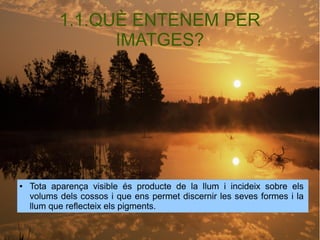 1.1.QUÈ ENTENEM PER 
IMATGES? 
● Tota aparença visible és producte de la llum i incideix sobre els 
volums dels cossos i que ens permet discernir les seves formes i la 
llum que reflecteix els pigments. 
 