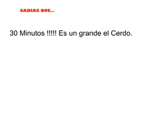 30 Minutos !!!!! Es un grande el Cerdo. 