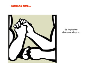 Es imposible chuparse el codo.  