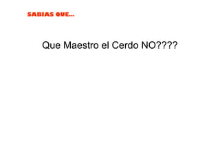 Que Maestro el Cerdo NO???? 