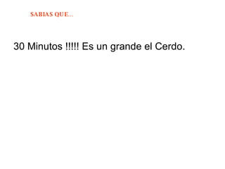 30 Minutos !!!!! Es un grande el Cerdo. 