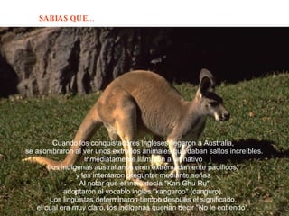 Cuando los conquistadores ingleses llegaron a Australia,  se asombraron al ver unos extraños animales que daban saltos increíbles. Inmediatamente llamaron a un nativo  (los indígenas australianos eran extremadamente pacíficos)  y les intentaron preguntar mediante señas. Al notar que el indio decía "Kan Ghu Ru"  adoptaron el vocablo ingles "kangaroo" (canguro).  Los lingüistas determinaron tiempo después el significado,  el cual era muy claro, los indígenas querían decir "No le entiendo".  