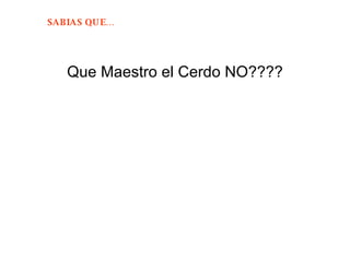 Que Maestro el Cerdo NO???? 