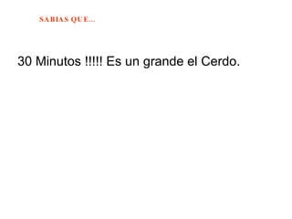30 Minutos !!!!! Es un grande el Cerdo. 