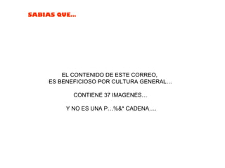 SABIAS QUE…




        EL CONTENIDO DE ESTE CORREO,
    ES BENEFICIOSO POR CULTURA GENERAL…

           CONTIENE 37 IMAGENES…

        Y NO ES UNA P…%&* CADENA….
 