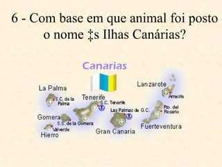 6 - Com base em que animal foi posto o nome às Ilhas Canárias? 