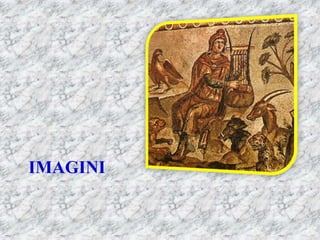 IMAGINI
 