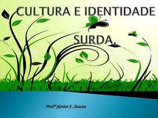 Profº Júnior S .Souza

 