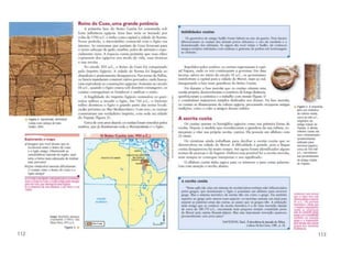 Cultura – Imagem História