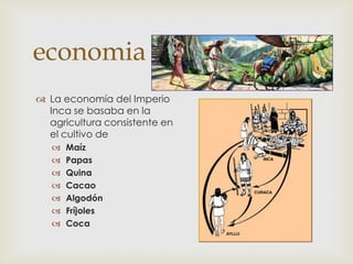 economia
 La economía del Imperio
  Inca se basaba en la
  agricultura consistente en
  el cultivo de
      Maíz
      Papas
      Quina
      Cacao
      Algodón
      Fríjoles
      Coca
 