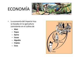 ECONOMÍA
• La economía del Imperio Inca
se basaba en la agricultura
consistente en el cultivo de
– Maíz
– Papas
– Quina
– Cacao
– Algodón
– Fríjoles
– Coca
 