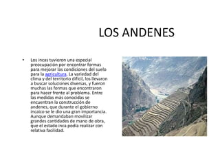 LOS ANDENES
• Los incas tuvieron una especial
preocupación por encontrar formas
para mejorar las condiciones del suelo
para la agricultura. La variedad del
clima y del territorio difícil, los llevaron
a buscar soluciones diversas, y fueron
muchas las formas que encontraron
para hacer frente al problema. Entre
las medidas más conocidas se
encuentran la construcción de
andenes, que durante el gobierno
incaico se le dio una gran importancia.
Aunque demandaban movilizar
grandes cantidades de mano de obra,
que el estado inca podía realizar con
relativa facilidad.
 