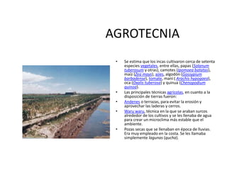 AGROTECNIA
• Se estima que los incas cultivaron cerca de setenta
especies vegetales, entre ellas, papas (Solanum
tuberosum y otras), camotes (Ipomoea batatas),
maíz (Zea mays), ajíes, algodón (Gossypium
barbadense), tomate, maní ( Arachis hypogaea),
oca (Oxalis tuberosa) y quinua (Chenopodium
quinoa).
• Las principales técnicas agrícolas, en cuanto a la
disposición de tierras fueron:
• Andenes o terrazas, para evitar la erosión y
aprovechar las laderas y cerros.
• Waru waru, técnica en la que se araban surcos
alrededor de los cultivos y se les llenaba de agua
para crear un microclima más estable que el
ambiente.
• Pozas secas que se llenaban en época de lluvias.
Era muy empleado en la costa. Se les llamaba
simplemente lagunas (qucha).
 