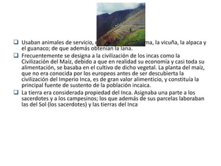  Usaban animales de servicio, especialmente la llama, la vicuña, la alpaca y
el guanaco; de que además obtenían la lana.
 Frecuentemente se designa a la civilización de los incas como la
Civilización del Maíz, debido a que en realidad su economía y casi toda su
alimentación, se basaba en el cultivo de dicho vegetal. La planta del maíz,
que no era conocida por los europeos antes de ser descubierta la
civilización del Imperio Inca, es de gran valor alimenticio, y constituía la
principal fuente de sustento de la población incaica.
 La tierra era considerada propiedad del Inca. Asignaba una parte a los
sacerdotes y a los campesinos; los que además de sus parcelas laboraban
las del Sol (los sacerdotes) y las tierras del Inca
 