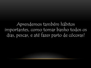 Aprendemos também hábitos importantes, como tomar banho todos os dias, pescar, e até fazer parto de cócoras!