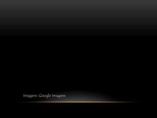 Imagens: Google Imagens