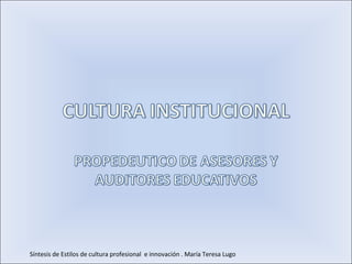 Síntesis de Estilos de cultura profesional e innovación . María Teresa Lugo
 