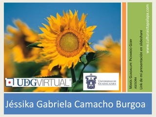 www.culturaiztapalapa.com
Jéssika Gabriela Camacho Burgoa
M
ARÍA
G
UADALUPE
P
ICHARDO
G
OBY
ASESORA
Link
de
mi
presentación
en
slideshare
 