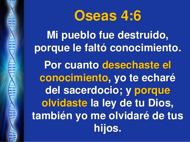 Image result for oseas-4-6