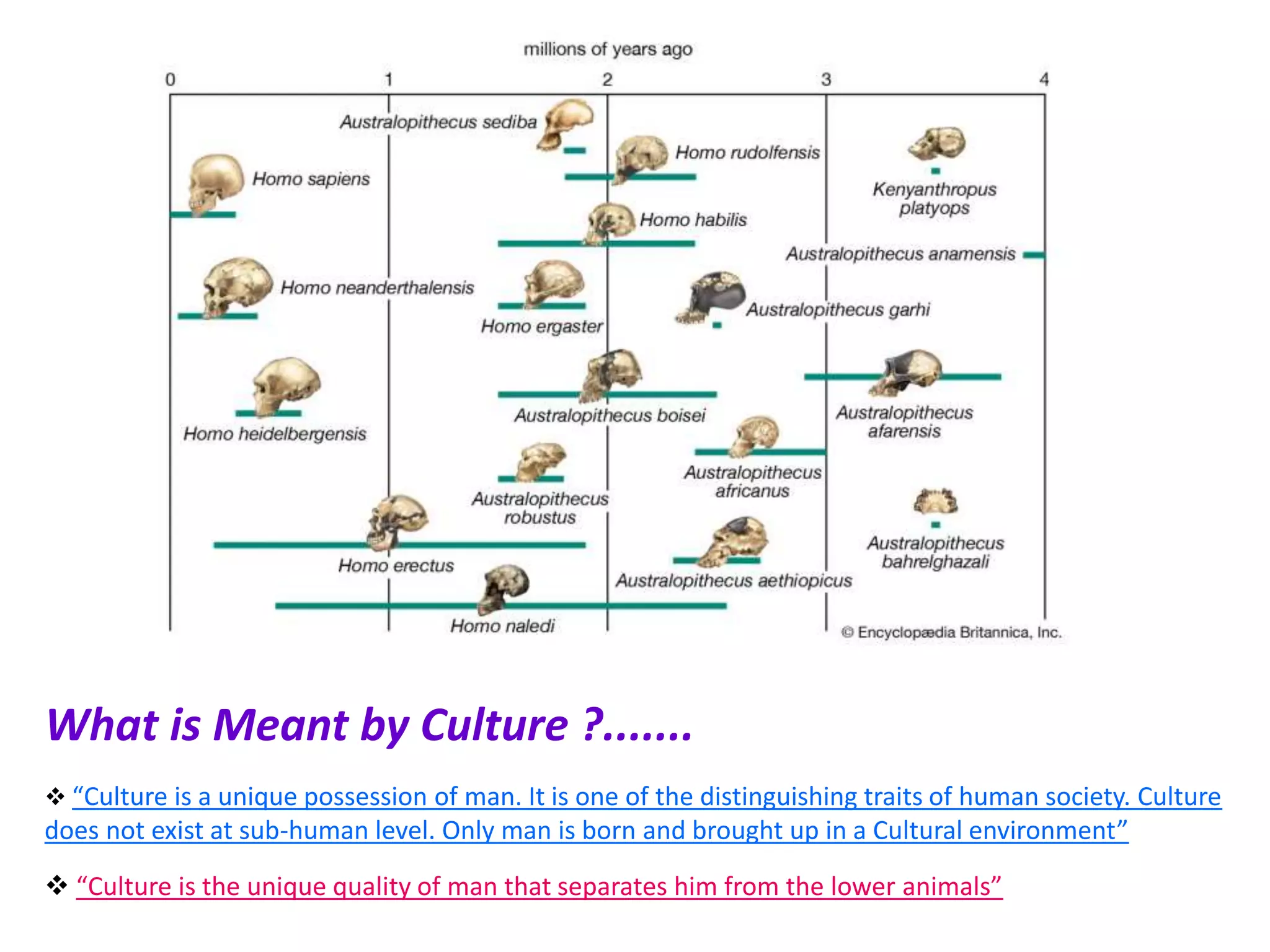 Definition, Evolution and approaches of cultural geography. | PPTX