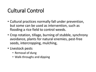 Cultural Control
• Cultural practices normally fall under prevention,
but some can be used as intervention, such as
flooding a rice field to control weeds.
• Crop rotation, tillage, burning of stubble, synchrony
avoidance, plants for natural enemies, pest-free
seeds, intercropping, mulching,
• Livestock pests
• Removal of dung
• Walk-throughs and dipping
 